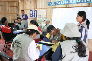 Angloamerican-Experiencia educativa rural