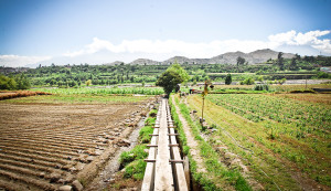 Cerro Verde-Canalizacion