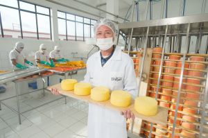 Elaboración de queso (Antapaccay)