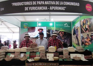 Stand de productores de papa nativa de Yuricancha en Mistura (Las Bambas).