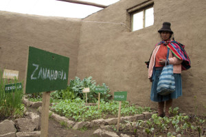 Invernadero donde se cultivan verduras que contribuyen a la alimentación de los beneficiarios (Minsur).