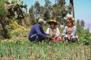 Mejoran habilidades y nutrición en familias Anglo American Perú